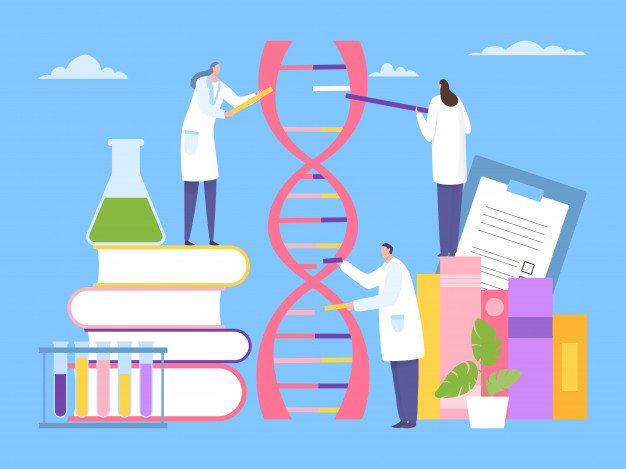 Metodología de la  Investigación SEP